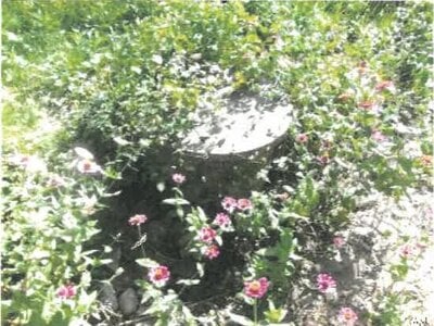 香川県仲多度郡琴平町 琴平駅14分 農地 480万円の競売物件 #11