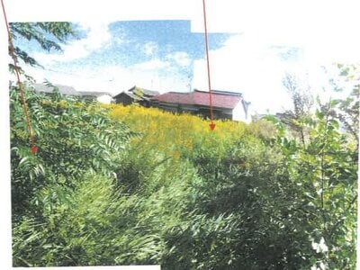 香川県仲多度郡琴平町 琴平駅14分 農地 480万円の競売物件 #6