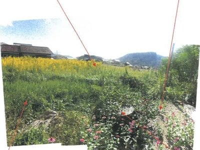 香川県仲多度郡琴平町 琴平駅14分 農地 480万円の競売物件 #7