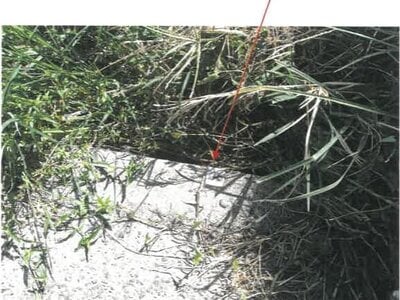 香川県観音寺市 観音寺駅 農地 12万円の競売物件 #5