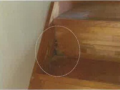 長崎県佐世保市 山の田駅10分 戸建て 273万円の競売物件 #20