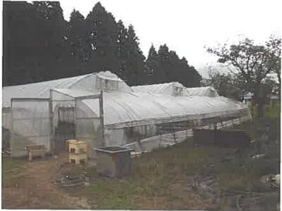 北海道北斗市 清川口駅 農地 186万円の競売物件 #4