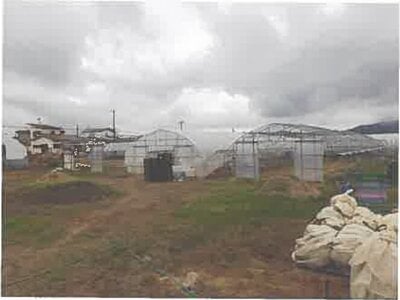 北海道北斗市 清川口駅 農地 186万円の競売物件 #5