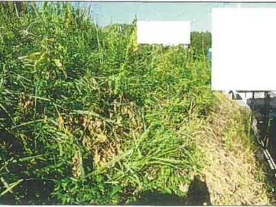 兵庫県神戸市北区 フラワータウン駅26分 土地 91万円の競売物件 #3