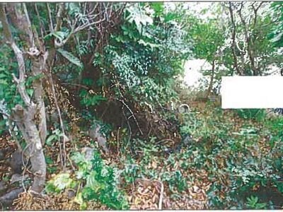 (値下げ) 兵庫県神戸市北区 鈴蘭台駅6分 戸建て 498万円の競売物件 #2