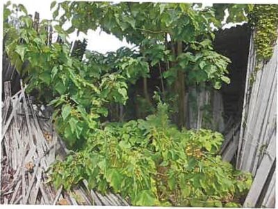 兵庫県淡路市 戸建て 872万円の競売物件 #31