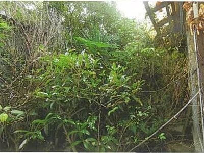 兵庫県神戸市長田区 駒ヶ林駅6分 戸建て 524万円の競売物件 #22