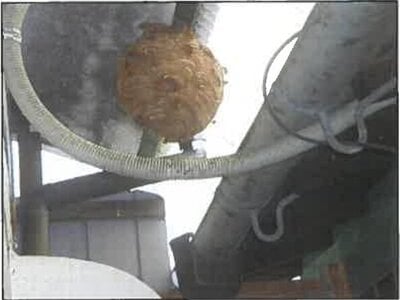 広島県山県郡北広島町 戸建て 86万円の競売物件 #20