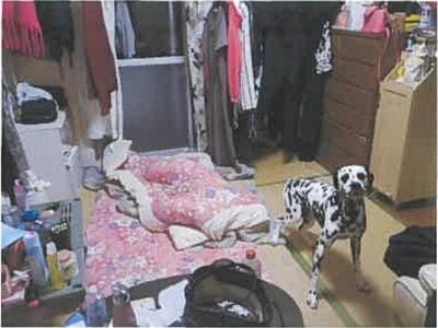 広島県呉市 呉駅 戸建て 1,126万円の競売物件 #16