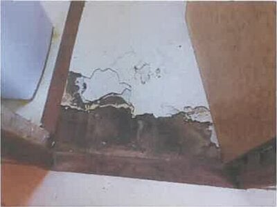 広島県呉市 呉駅 戸建て 1,126万円の競売物件 #21