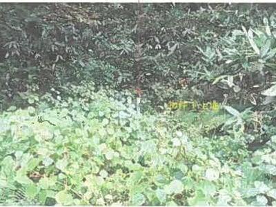 秋田県鹿角市 鹿角花輪駅27分 戸建て 179万円の競売物件 #7