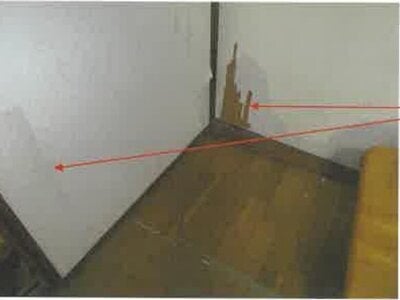 千葉県山武郡横芝光町 横芝駅29分 戸建て 99万円の競売物件 #8