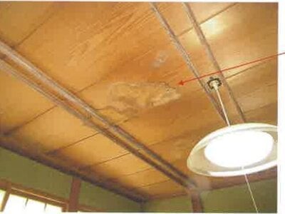 (値下げ) 千葉県茂原市 新茂原駅15分 戸建て 324万円の競売物件 #7