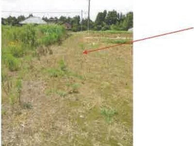 (値下げ) 千葉県香取市 空港第2ビル駅 農地 12万円の競売物件 #3