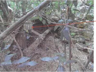 (値下げ) 千葉県香取市 空港第2ビル駅 農地 12万円の競売物件 #4