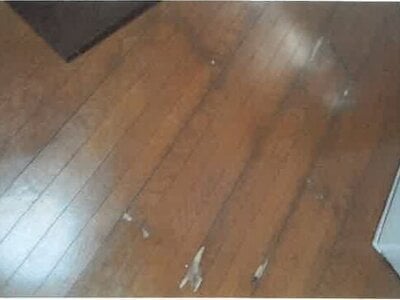 福岡県福岡市東区 柚須駅7分 マンション「MAC箱崎コート」915万円の競売物件 #8