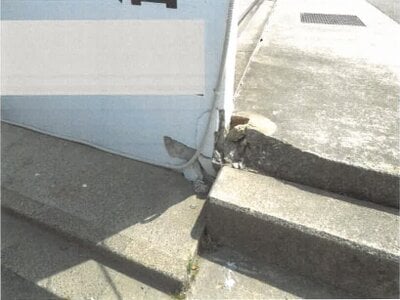 佐賀県佐賀市 鍋島駅 戸建て 260万円の競売物件 #4