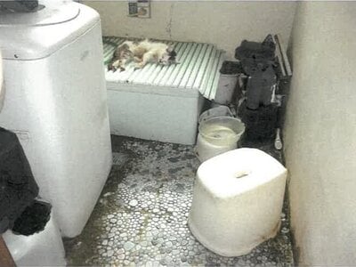 鹿児島県鹿児島市 水族館口駅 戸建て 677万円の競売物件 #13