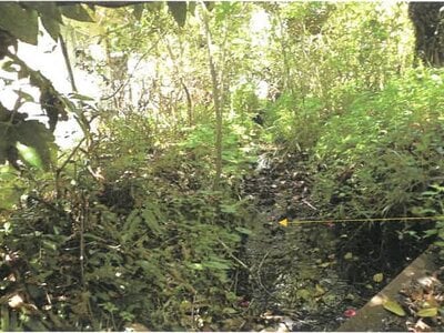 (値下げ) 鹿児島県伊佐市 吉松駅 戸建て 323万円の競売物件 #7