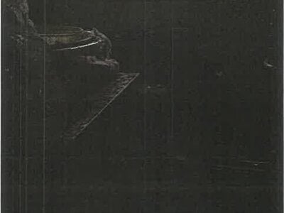 鹿児島県指宿市 大山駅9分 戸建て 188万円の競売物件 #10