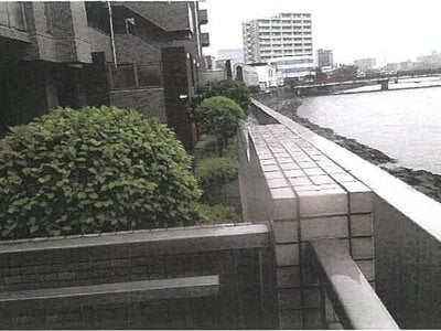 鹿児島県鹿児島市 二中通駅10分 マンション「サーパスシティ天保山」1,535万円の競売物件 #3