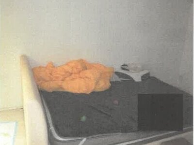 神奈川県川崎市川崎区 川崎新町駅9分 戸建て 2,901万円の競売物件 #5