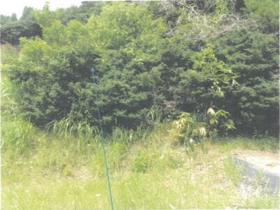 (値下げ) 福井県越前市 北府駅 戸建て 208万円の競売物件 #12