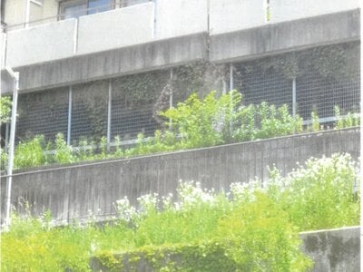 京都府京都市西京区 松尾大社駅 戸建て 1,316万円の競売物件 #3