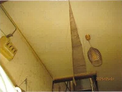 大阪府貝塚市 和泉橋本駅9分 戸建て 197万円の競売物件 #7