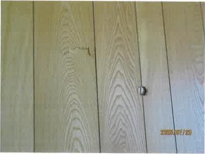 大阪府阪南市 和泉鳥取駅9分 戸建て 234万円の競売物件 #12