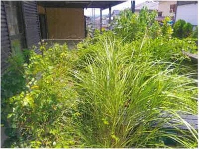 大阪府阪南市 箱作駅13分 戸建て 243万円の競売物件 #15