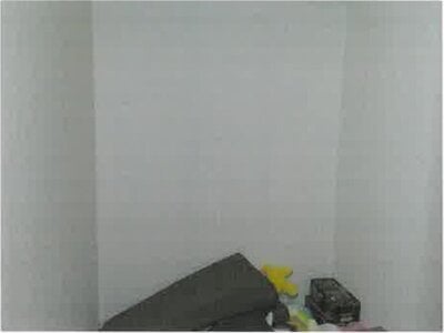 大阪府泉佐野市 羽倉崎駅13分 戸建て 584万円の競売物件 #12