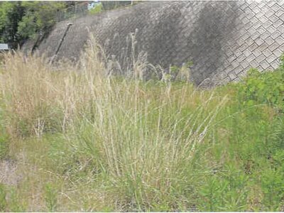 (値下げ) 福岡県八女郡広川町 西牟田駅22分 土地 267万円の競売物件 #3