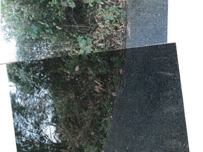 大分県中津市 中津駅20分 農地 89万円の競売物件 #2