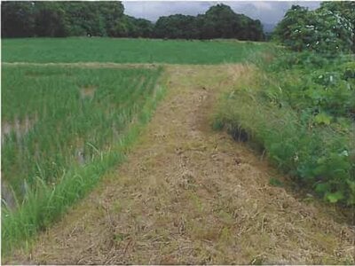 (値下げ) 岩手県紫波郡紫波町 紫波中央駅19分 戸建て 370万円の競売物件 #4