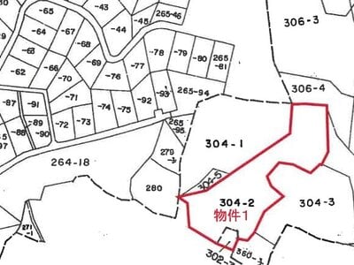 新潟県南魚沼郡湯沢町 マンション「ファミールヴィラ苗場タワー」1万円の競売物件 #7