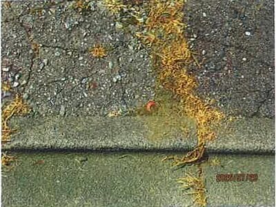 (値下げ) 長野県木曽郡木曽町 原野駅22分 土地 86万円の競売物件 #5