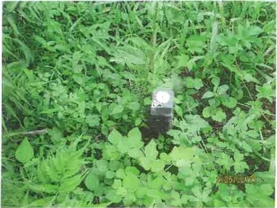 長野県松本市 田沢駅 戸建て 1,080万円の競売物件 #11