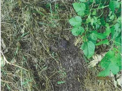 (値下げ) 長野県松本市 松本駅 戸建て 433万円の競売物件 #13