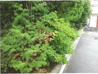 長野県松本市 南松本駅13分 戸建て 1,155万円の競売物件 #8