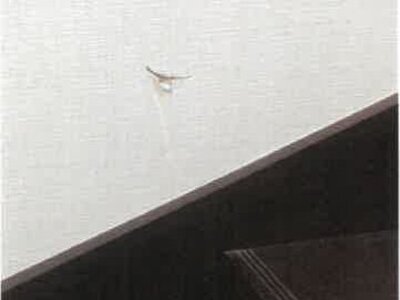 長野県駒ヶ根市 駒ヶ根駅12分 戸建て 803万円の競売物件 #25