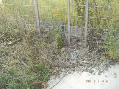 長野県駒ヶ根市 駒ヶ根駅12分 戸建て 803万円の競売物件 #9