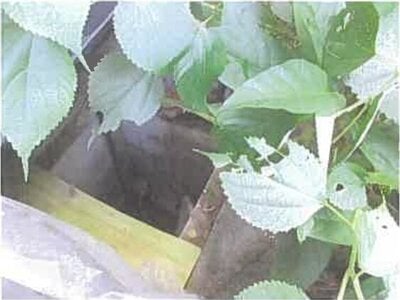 (値下げ) 大分県津久見市 津久見駅14分 戸建て 236万円の競売物件 #2