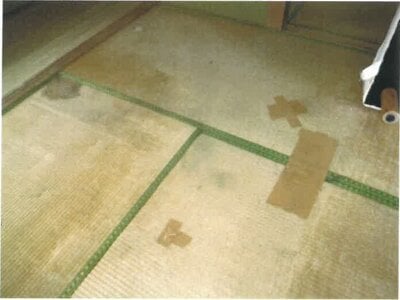 和歌山県西牟婁郡白浜町 紀伊富田駅29分 戸建て 126万円の競売物件 #16