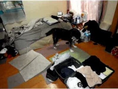 埼玉県桶川市 桶川駅10分 戸建て 937万円の競売物件 #5