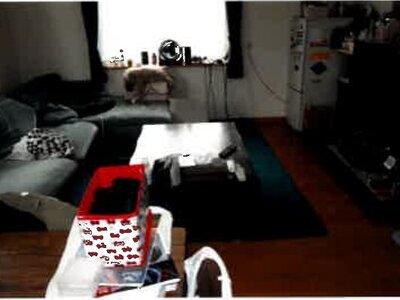 埼玉県桶川市 内宿駅16分 戸建て 745万円の競売物件 #3