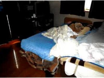 埼玉県桶川市 内宿駅16分 戸建て 745万円の競売物件 #5