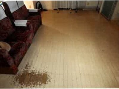 埼玉県加須市 鷲宮駅24分 戸建て 813万円の競売物件 #7