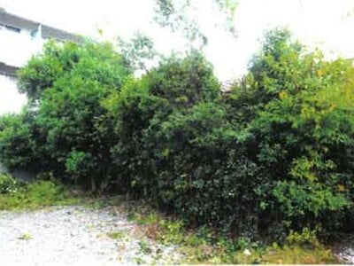 埼玉県蕨市 蕨駅14分 戸建て 1,670万円の競売物件 #4