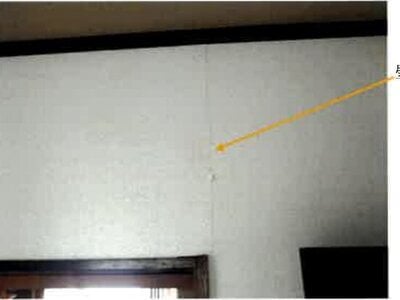 埼玉県川口市 見沼代親水公園駅22分 戸建て 562万円の競売物件 #8